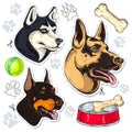 Icons colored dog, shepherd, husky, Doberman and a bowl of bone