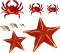 Crabs, shells and starfish