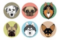 Icons of different breeds of dogs
