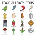 Icons of food that causes allergies. Colored food icons with a gray outline.