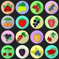 Icons of fruits and berries in a set on a dark background. Royalty Free Stock Photo