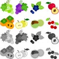 The icons of fruits