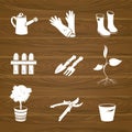 Icons garden tools on a wood background Royalty Free Stock Photo