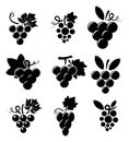 Icons of grapes, vector