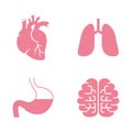 Icons of Human Organs. Heart, Lungs, Stomach, Brains Royalty Free Stock Photo