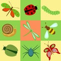 Icons with insects
