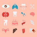 Icons of internal human organs Flat design Royalty Free Stock Photo