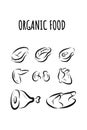 Icons of organic food, farm products and healthy natural no chemical food. illustration of poultry,beef,veal,wings