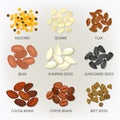 Icons of seeds and grains, beans