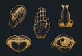 Icons set of five human senses in engraved style. Vector illustration of sensory organs