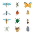 Icons set insects flat - dragonfly, beetle, butterfly, fly, ladybug, koroladsky beetle, wasp, bronzovik ant, tick, a spider, wood