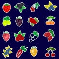 Icons Stickers of fruits and berries with a white outline in a set on a dark background. Royalty Free Stock Photo