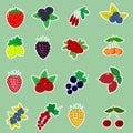Icons Stickers of different fruits and berries with a white outline, collected in a set on a green background. Royalty Free Stock Photo