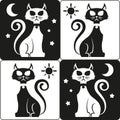 Icons, symbol white and black cats, felines. Ideal for visual communication, veterinary newsletters