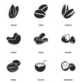 Simple vector icons. Flat illustration on a theme Nuts