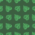 Icons with tropical palm leaves, monstera. Beautiful hand drawn exotic plants. Floral seamless background. Monsters Royalty Free Stock Photo