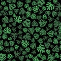 Icons with tropical palm leaves, monstera. Beautiful hand drawn exotic plants. Floral seamless background. Silhouette of Royalty Free Stock Photo