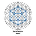 Icosahedron Water. Scared Geometry Vector Design Elements color.