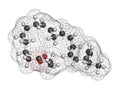 Icosapent ethyl (ethyl eicosapentaenoic acid) drug molecule. 3D rendering. Atoms are represented as spheres with conventional