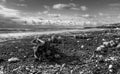 Icy Alaskan Beach Royalty Free Stock Photo