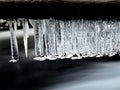 Icy branches above chilling stream. Reflections in icicles Royalty Free Stock Photo