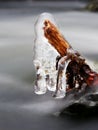 Icy branches above chilling stream. Reflections in icicles Royalty Free Stock Photo