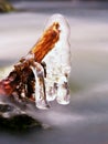 Icy branches above chilling stream. Reflections in icicles Royalty Free Stock Photo