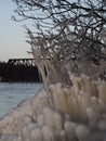 Icy build up on trees and rocky shore. Train bridge in the background. Selective focus, blurred background shadows