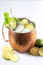 Icy Cold Moscow Mules with Ginger Beer, Lime,  and Vodka, Garnish with Mint Leaf. Isolated on White Background Royalty Free Stock Photo