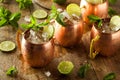Icy Cold Moscow Mules Royalty Free Stock Photo