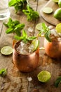 Icy Cold Moscow Mules Royalty Free Stock Photo