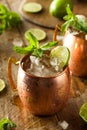 Icy Cold Moscow Mules Royalty Free Stock Photo