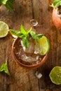 Icy Cold Moscow Mules Royalty Free Stock Photo