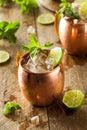 Icy Cold Moscow Mules Royalty Free Stock Photo