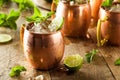 Icy Cold Moscow Mules Royalty Free Stock Photo