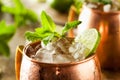 Icy Cold Moscow Mules Royalty Free Stock Photo