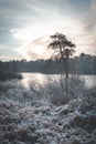 Icy cold sunrise walk with frozen plants and lake