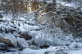 View of an icy creek flowing in winter season. Royalty Free Stock Photo