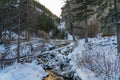 View of an icy creek flowing in winter season. Royalty Free Stock Photo