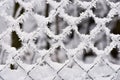 Icy fence. Beautiful winter seasonal abstract background. Royalty Free Stock Photo