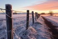 icy fence posts lit by winter sunrise Royalty Free Stock Photo