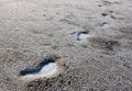 Icy footprints in the sand