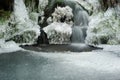 Icy forest pond