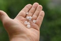 icy hail in a man& x27;s hand against a background of greenery Royalty Free Stock Photo