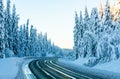 Icy highway through a forest with pine trees covered in heavy white snow Royalty Free Stock Photo