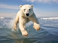 Icy Leap Royalty Free Stock Photo
