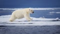 Icy Leap Royalty Free Stock Photo