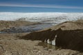 An icy and muddy cliff at the edge of the Greenlandic ice cap, Point 660, Kangerlussuaq, Greenland Royalty Free Stock Photo