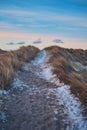 icy path at the beach in winter in denmark Royalty Free Stock Photo