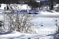 icy pond with fresh snow covering from New ENgland snow storm Royalty Free Stock Photo